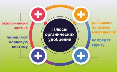 Органические удобрения для автоцветов