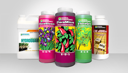 1623498382853.png 1623498382853.png