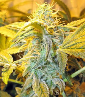 1623776676669.png 1623776676669.png