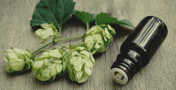 1624967367528.png 1624967367528.png