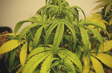 1666100842441.png 1666100842441.png