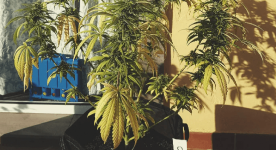 1666101948884.png 1666101948884.png