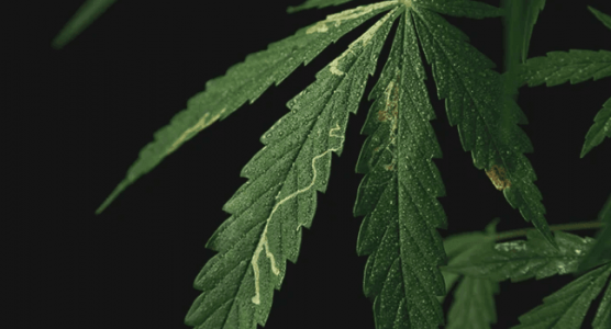 1666102316794.png 1666102316794.png