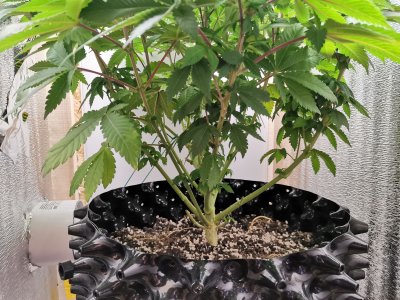 IMG_20221021_152205.jpg IMG_20221021_152205.jpg