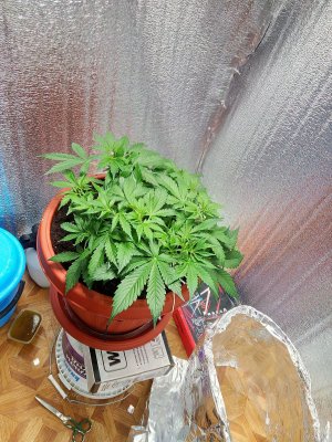 31 день Вечер1.jpg