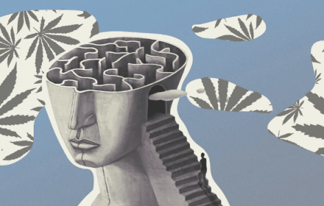 1667338288571.png 1667338288571.png