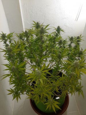 20221102_140804.jpg 20221102_140804.jpg