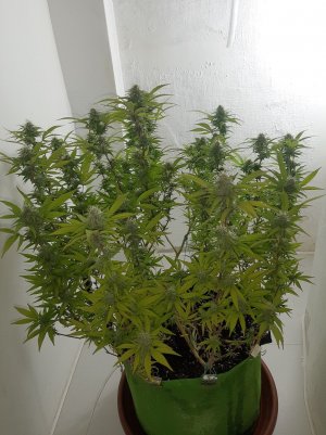 20221102_140752.jpg 20221102_140752.jpg