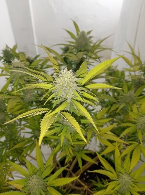 20221102_140825.jpg 20221102_140825.jpg