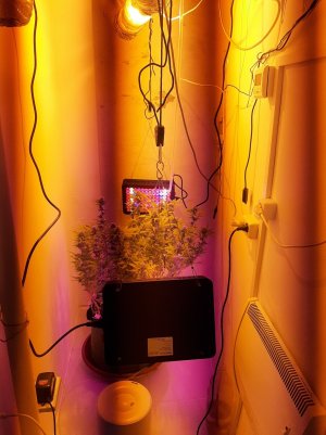 20221102_140704.jpg 20221102_140704.jpg