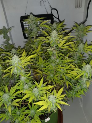 20221102_143110.jpg 20221102_143110.jpg