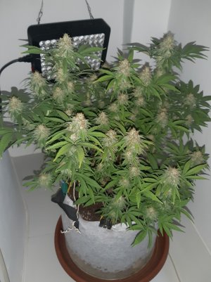 20221102_162718.jpg 20221102_162718.jpg