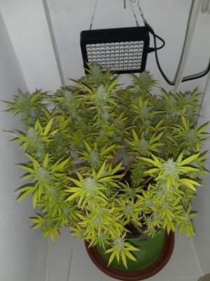 20221103_111651.jpg 20221103_111651.jpg