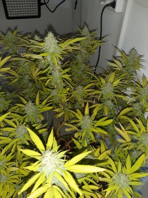 20221103_112214.jpg 20221103_112214.jpg