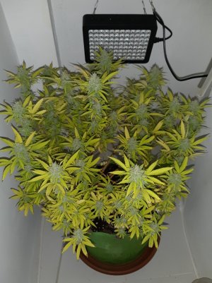 20221104_132439.jpg 20221104_132439.jpg