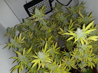 20221104_132356.jpg 20221104_132356.jpg