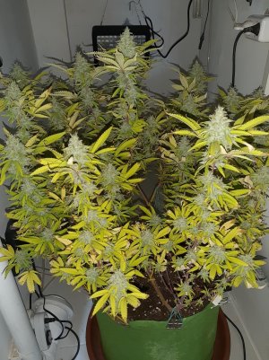 20221104_135735.jpg 20221104_135735.jpg