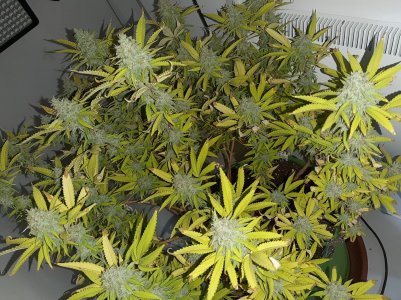 20221104_135749.jpg 20221104_135749.jpg