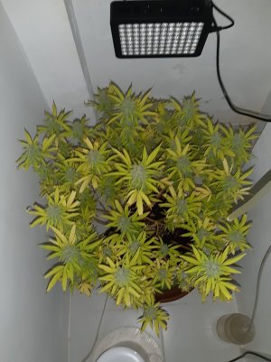 20221104_141520.jpg 20221104_141520.jpg