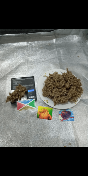 Screenshot_20221104-130912.png Screenshot_20221104-130912.png