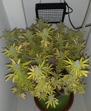 20221104_212621.jpg 20221104_212621.jpg