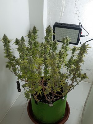 20221104_213713.jpg 20221104_213713.jpg