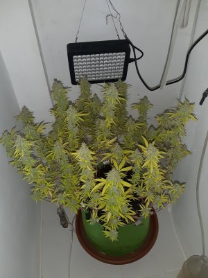 20221104_221139.jpg 20221104_221139.jpg