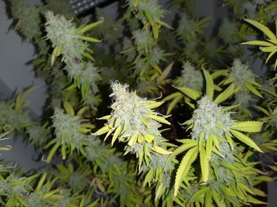 20221105_121958.jpg 20221105_121958.jpg