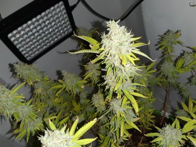 20221105_122010.jpg 20221105_122010.jpg