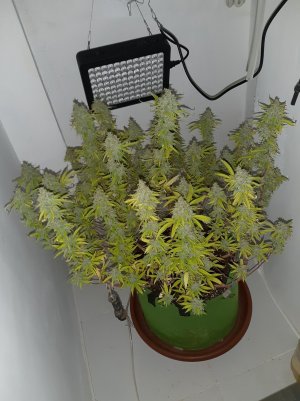 20221105_122058.jpg 20221105_122058.jpg