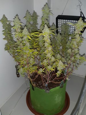 20221105_121944.jpg 20221105_121944.jpg