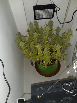 20221105_121931.jpg 20221105_121931.jpg