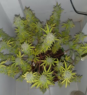 20221105_123533.jpg 20221105_123533.jpg