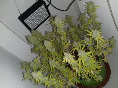 20221105_123553.jpg 20221105_123553.jpg