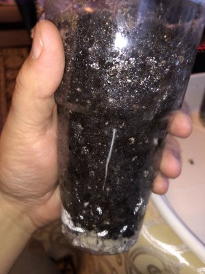 A883AF8E-91A7-4CFF-B374-90D45CBAF04C.jpeg A883AF8E-91A7-4CFF-B374-90D45CBAF04C.jpeg