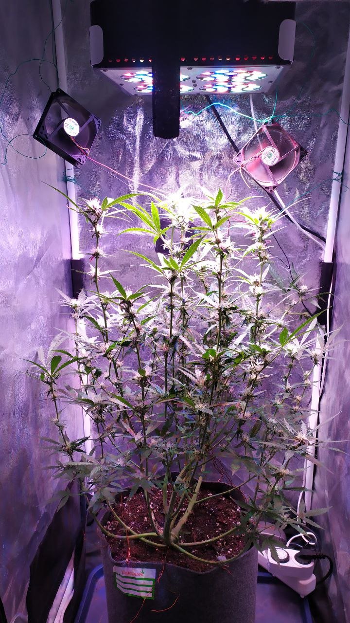 photo_2022-11-06_13-55-35.jpg photo_2022-11-06_13-55-35.jpg