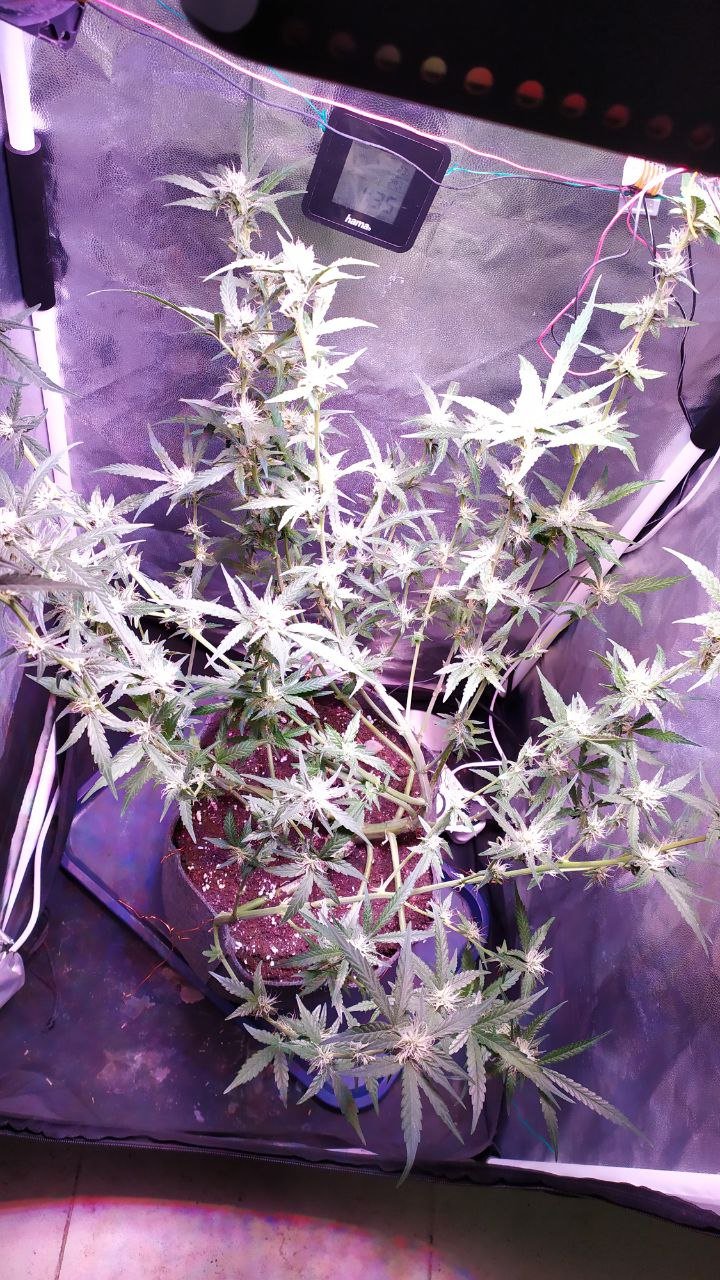 photo_2022-11-06_14-40-16.jpg photo_2022-11-06_14-40-16.jpg