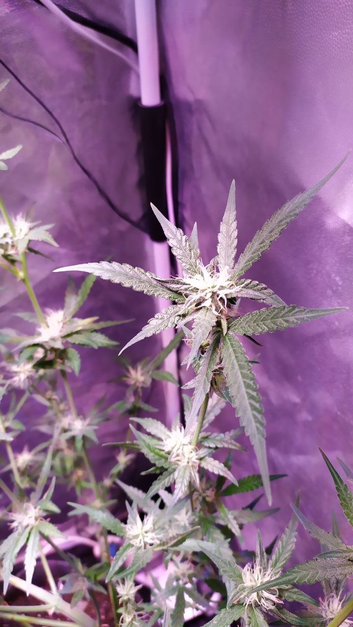 photo_2022-11-06_14-40-24.jpg photo_2022-11-06_14-40-24.jpg