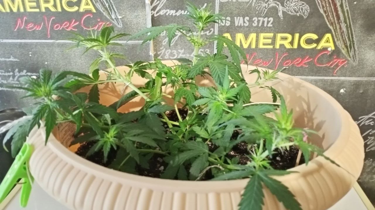 photo_2022-11-08_12-53-04.jpg photo_2022-11-08_12-53-04.jpg