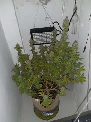 20221109_211448.jpg 20221109_211448.jpg