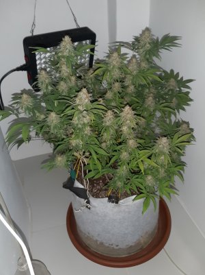 20221109_211420.jpg 20221109_211420.jpg