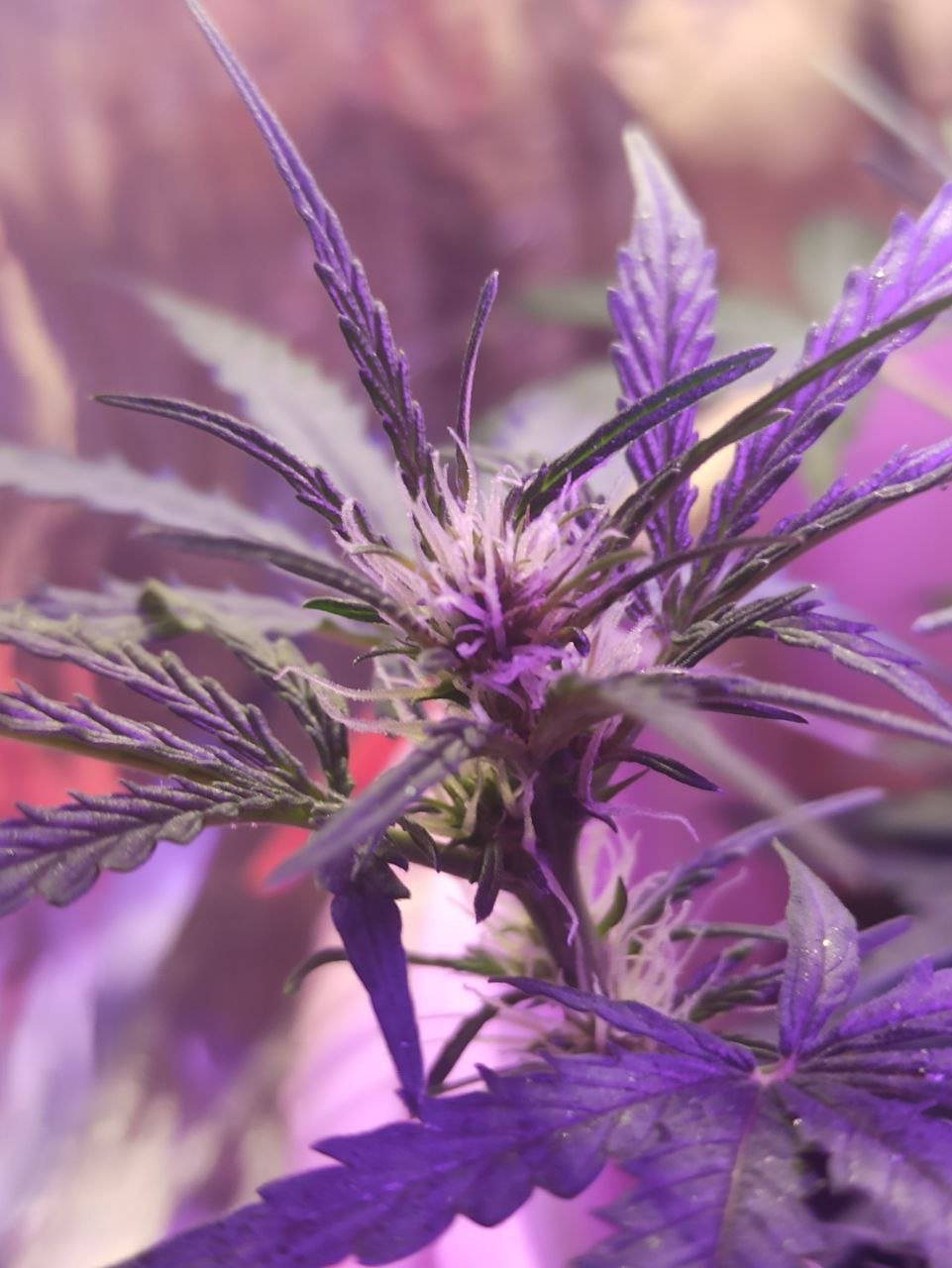 photo_2022-11-11_01-12-03.jpg photo_2022-11-11_01-12-03.jpg