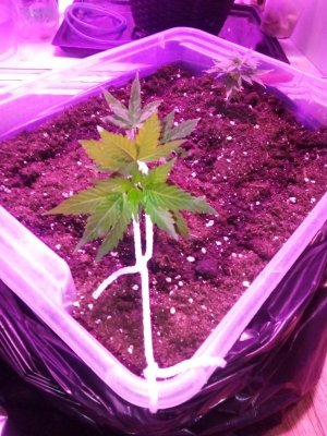 PSX_20221112_145126.jpg PSX_20221112_145126.jpg