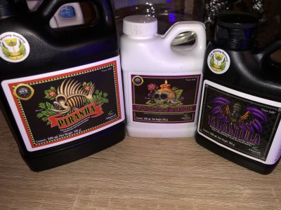 4438E17B-7591-4B2D-AE87-2E7821B7FB90.jpeg 4438E17B-7591-4B2D-AE87-2E7821B7FB90.jpeg