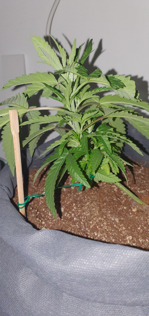 333333333.jpg 333333333.jpg