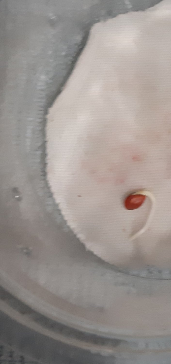 20221115_124659.jpg 20221115_124659.jpg