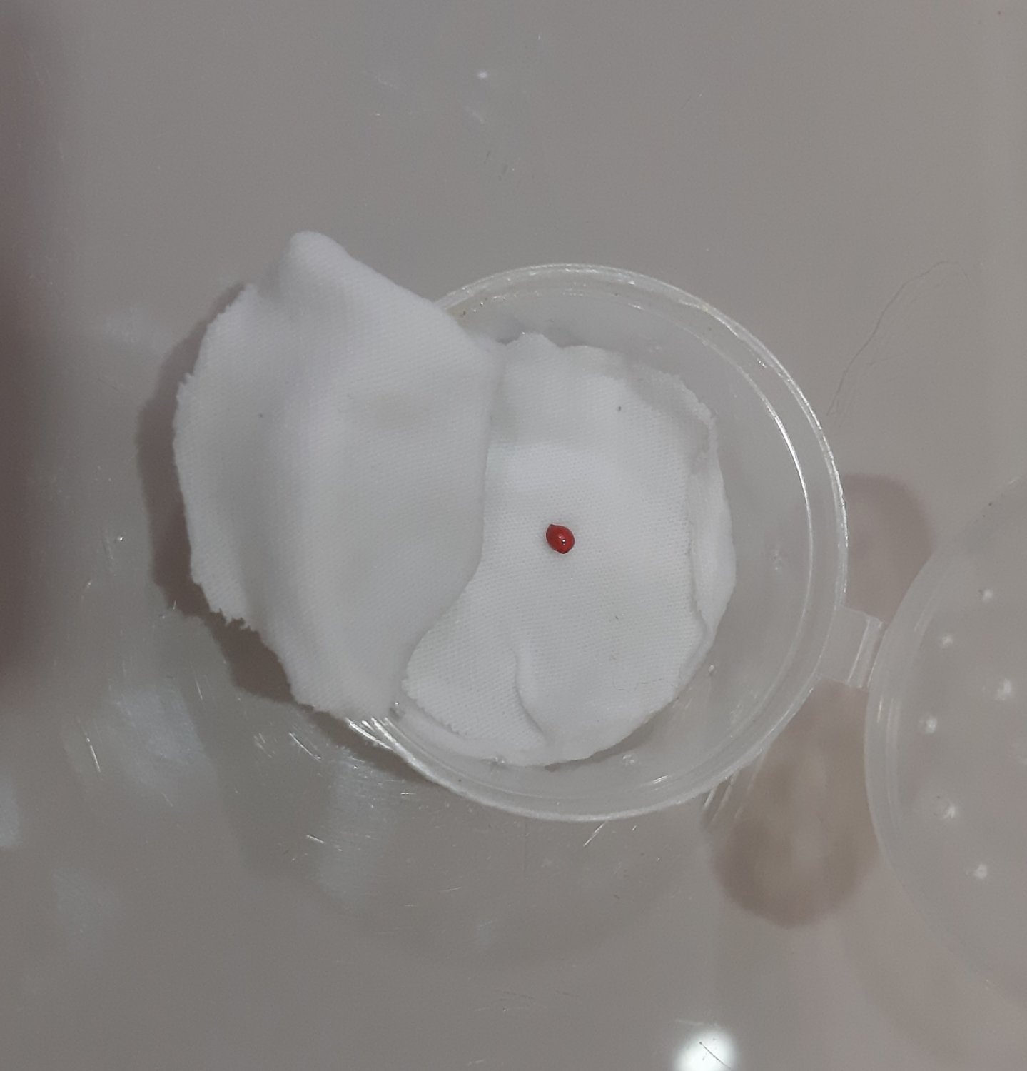 20220428_211844.jpg 20220428_211844.jpg