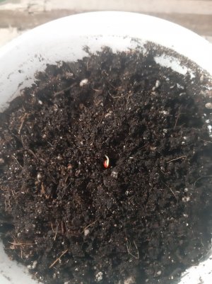 20221115_125835.jpg 20221115_125835.jpg