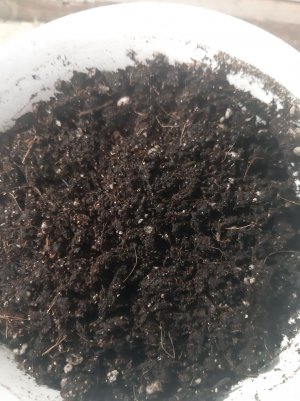 20221115_125848.jpg 20221115_125848.jpg