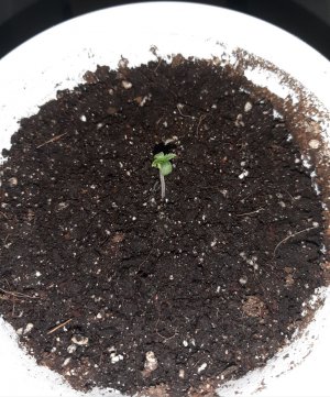 20221116_090307.jpg 20221116_090307.jpg